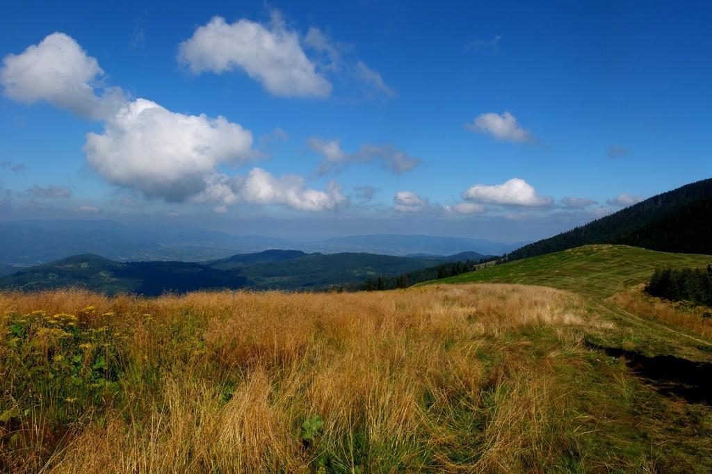 Apartamenty Żywiec Buitenkant foto