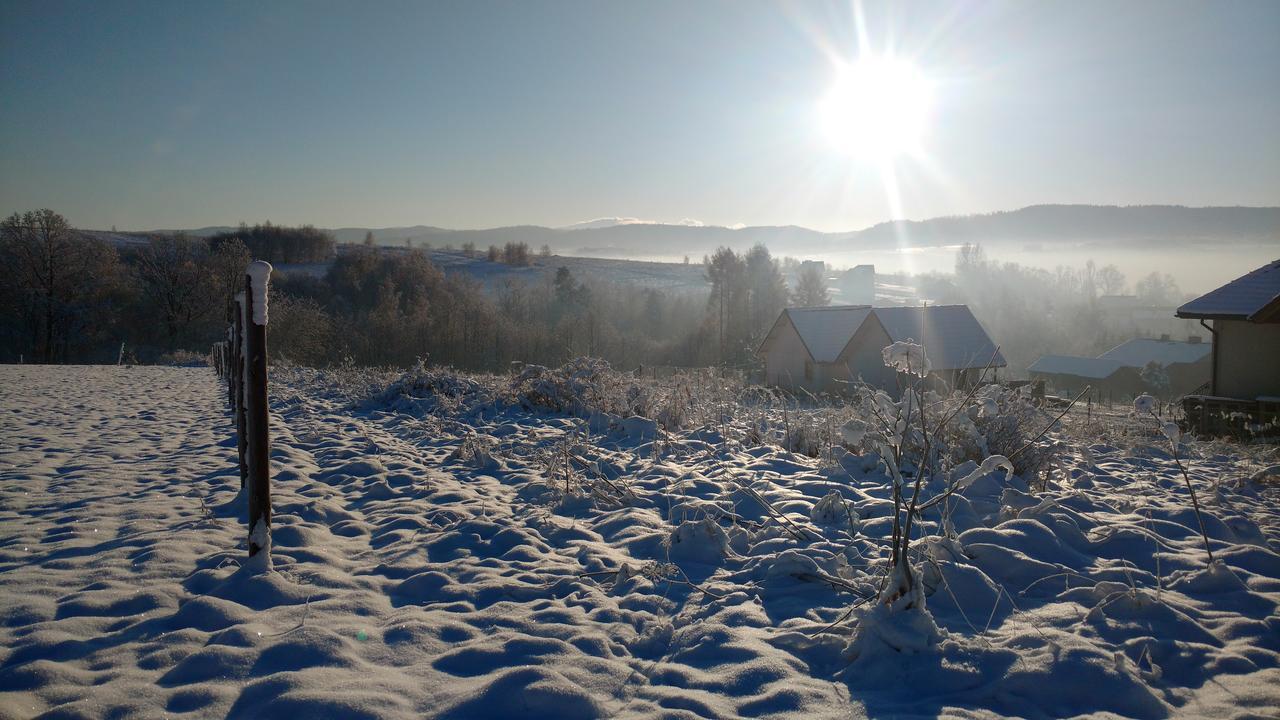 Apartamenty Żywiec Buitenkant foto